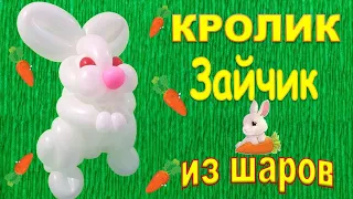 КРОЛИК Зайчик из воздушных шаров своими руками. Мастер класс/ Diy Rabbit Bunny from the balls.