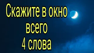 Скажите в окно всего 4 слова. | Тайна Жрицы |