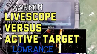 LIVESCOPE vs. ACTIVE TARGET (Forward Facing)