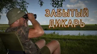 Карпфишинг. Забытый дикарь.