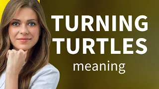 Unraveling the Phrase "Turning Turtles": A Guide to Understanding Idioms