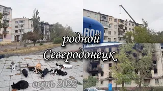 СЕВЕРОДОНЕЦК 2022//ГВАРДЕЙСКИЙ, КОСМОНАВТОВ, ЦЕНТРАЛЬНЫЙ//ПРОВЕДАЛИ ЛЮДЕЙ ПОКОРМИЛИ ЖИВОТНЫХ