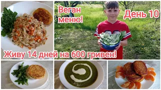 Живу 14 дней на 600 гривен! Веган меню! День 10