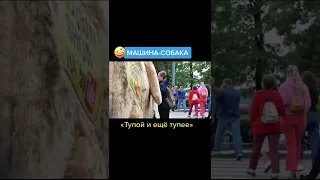 Собакомобиль из фильма «Тупой и ещё тупее»😃 #Shorts