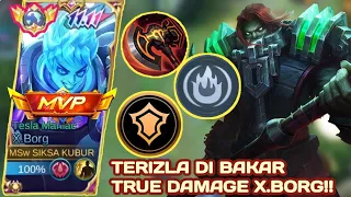 TERIZLA DI BURN TRUE DAMAGE X.BORG‼️- BEST BUILD XBORG 2024