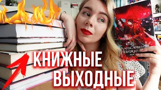 За что все любят БЛАГОСЛОВЕНИЕ НЕБОЖИТЕЛЕЙ?🔥🌝и САМАЯ СТЫДНАЯ КНИГА