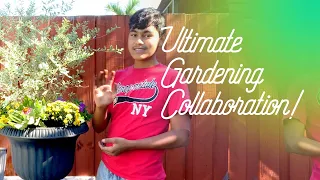 Planting with Ultimate Gardening!