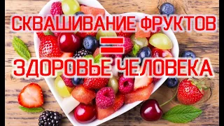 Правильное Сквашивание Фруктов (овощей, грибов и т д) / Виктор Максименков