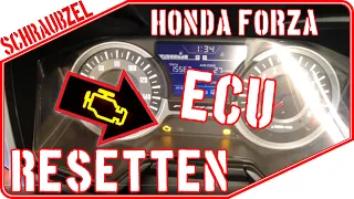 Honda Forza Fehlerspeicher löschen ECU resetten 🚧