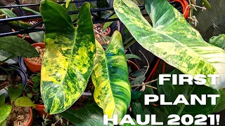 First PLANT HAUL Video of 2021