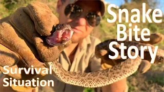 My Rattlesnake Bite Story -Venomous Encounter and Experience-