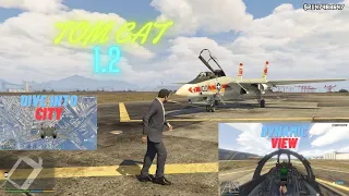 Flying the Supersonic Grumman F-14 Tomcat 1.2 | GTA 5 | GTA 5 MODS