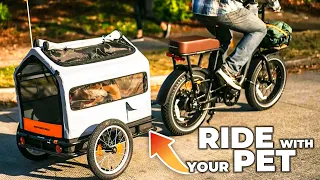 7 Best Electric Cargo Bikes▶▶4