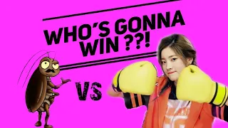 #TWICE TWICE VS BUGS COMPILATION