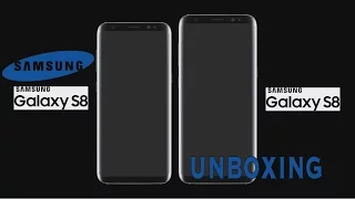 Samsung Galaxy S8 Dual Sim (DUOS) Unboxing.