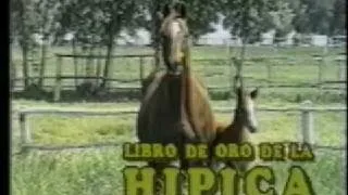 "La Historia de un Caballo de Carrera " - Libro de Oro de la Hipica Peruana