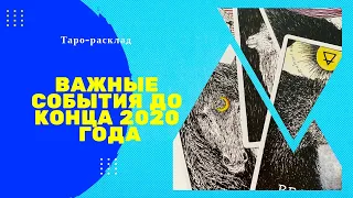 Важные события до конца 2020 года | Таро-онлайн