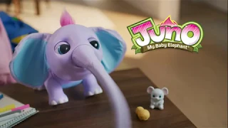 Juno Bebé Elefante