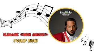 Розбір французької пісні на фіналі «Євробачення-2024» - «Mon amour» de Slimane