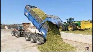 Corn Silage Harvest at Three Flags Dairy near Forest Ohio