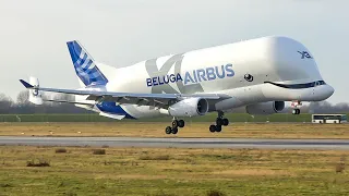 (4K) Plane spotting afternoon at the Airbus factory in Hamburg - Beluga, Beluga XL and A321N!