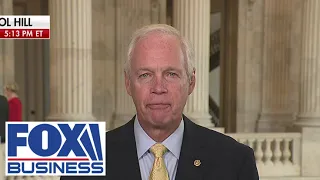 The minds of these young people have been poisoned: Sen. Ron Johnson