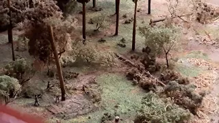 макет Санкт-Петербурга  дерево 🌳 упало