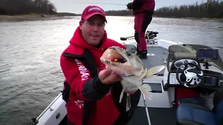 Catching Walleyes while fishing the Mississippi River w/IDO & Custom Jigs & Spins