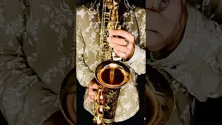 Deniska a Evka - Savana (SAX cover by OppositeMus)