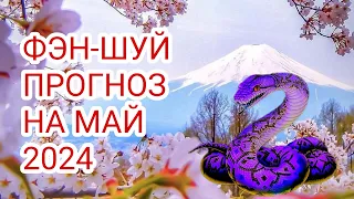 ФЭН-ШУЙ ПРОГНОЗ НА МАЙ🐍 МЕСЯЦ ЗЕМЛЯНОЙ ЗМЕИ#5