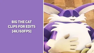 Big The Cat || Clips For Edits || [4K/60FPS]