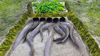 Amazing Hole Fish Trap - Smart Boy Build Deep Hole Fish Trap by PVC Pipe - Get A Lot of Fish 100%