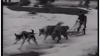 Lassie - Episode #286 - "The Musher" - Season 8 Ep.31  - 04/14/1962