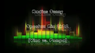 Radius Sunny - Spontan Mix 2k22 (Vixa vs. Pompa) + DL