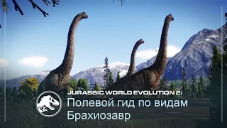 Полевой гид по видам | Брахиозавр | Jurassic World Evolution 2