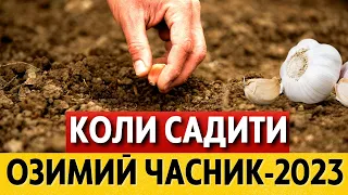 КРАЩІ ДНІ за місячним календарем ВОСЕНИ 2023 РОКУ. Коли садити озимий ЧАСНИК у жовтні, листопаді