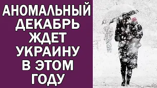 НЕОЖИДАННЫЙ ДЕКАБРЬ В УКРАИНЕ В 2022 ГОДУ