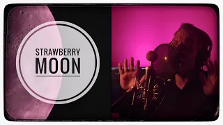 Strawberry Moon (Dennis van Aarssen) Cover