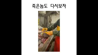 죽은 물고기 신경반응