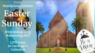 Easter Sunday LIVE - 9th April 2023 Bishop Greg Homeming Lismore Diocese @ St Carthages Cathedral