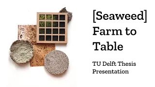 TU Delft Explore Lab Architecture Thesis - [Seaweed] Farm to Table