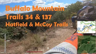 Buffalo Mountain Trails 34 & 137 - Hatfield & McCoy Trails