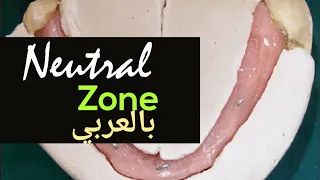 Neutral zone in Complete Denture