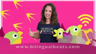 Bilingual Beats Online Streaming Lessons