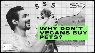 Why don't vegans buy pets?