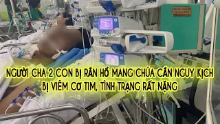 Sức khỏe người đàn ông bị rắn hổ mang chúa cắn đã khá hơn: Tình trạng hoại tử mô không lan thêm