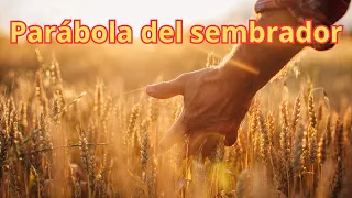 parábola del sembrador, una de las historias más impactantes de la Biblia