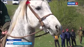 В Хабезе прошла выставка лошадей