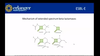 Review of Antimicrobial Resistance and New Antibiotics to Target Resistant Gram Neg Organisms