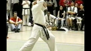 Kyokushin Karate - 1st North American Open, New York City 1996